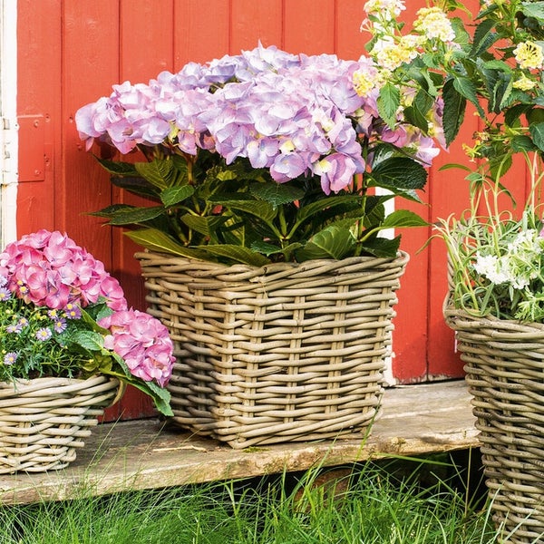 Dekoleidenschaft Pflanzkorb Koboo Grey aus Rattan, quadratisch, grau, klein, Blumentopf, Pflanzkübel, Pflanztopf für Draußen, Blumenkübel