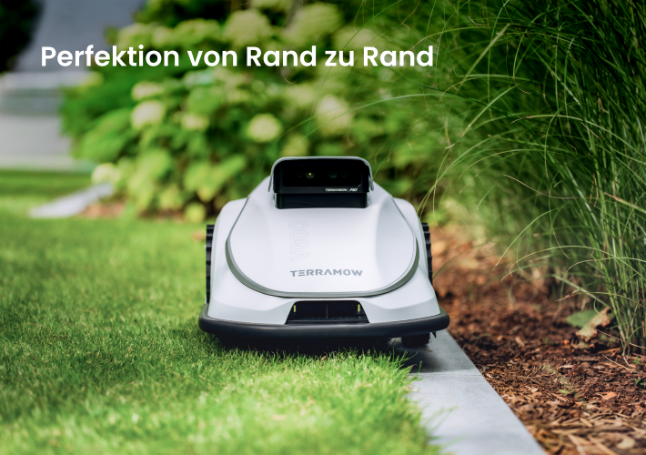 Mähroboter Terramow mäht präzise entlang einer Rasenkante im Garten.