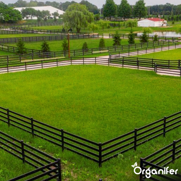 Landschaft mit Weiden, Wegen und Holzzäunen