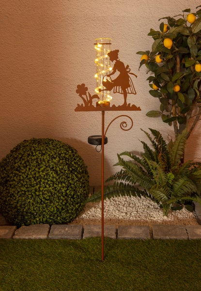 Dekorative Garten Szene mit Regenmesser und Lichterkette neben Pflanzen