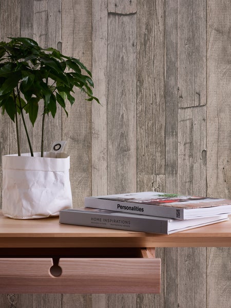 Nahaufnahme von Farnpflanzen im Garten