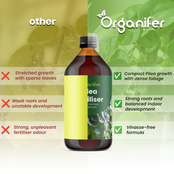 Vorteile von Organifer Pilea Dünger wie kompaktes Wachstum, starke Wurzeln und vinassefreie Formel gegenüber anderen Produkten. Organifer Logo.