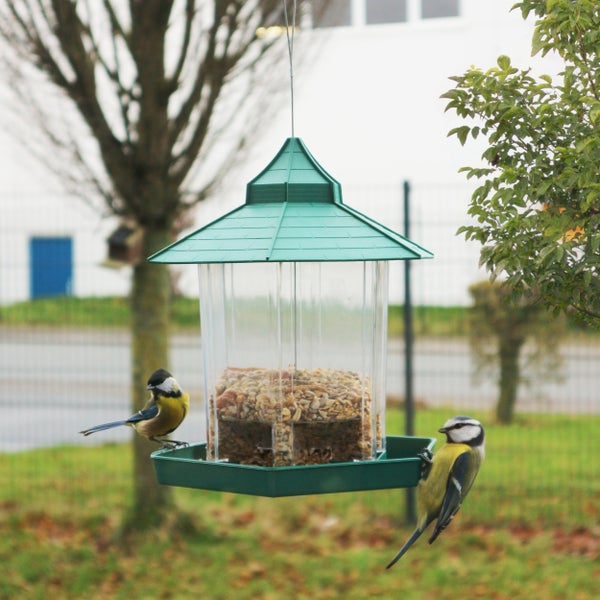 Vogelhaus mit Futter und zwei Blaumeisen