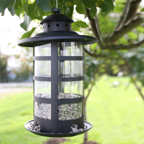 Hängendes Vogelhaus mit Sonnenblumenkernen im Garten