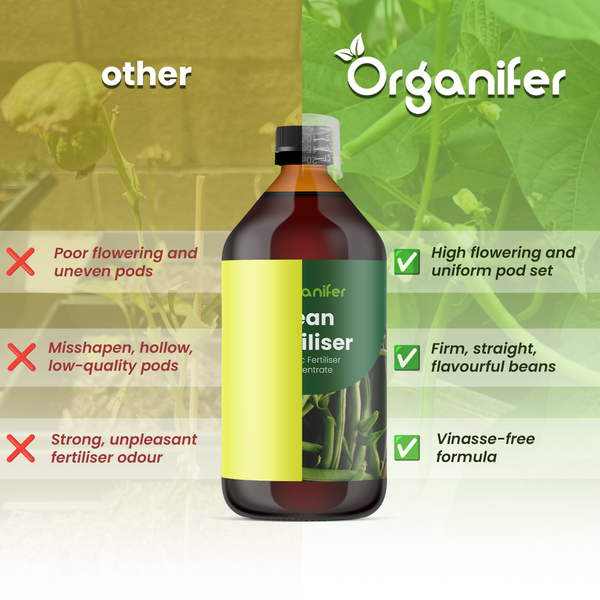Organifer Logo. Vergleich von Bohnendünger: Vorteile wie gleichmäßiger Hülsenansatz, feste Bohnen und vinassefreie Formel gegenüber anderen Produkten.