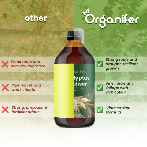 Vergleich von Organifer Eukalyptus-Dünger mit anderen Produkten. Vorteile wie starke Wurzeln, Trockenresistenz und vinassefreie Rezeptur. Organifer Logo.