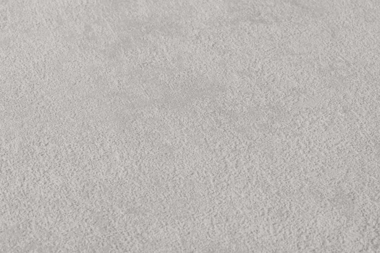 Wohnzimmer mit grauer Couch, Pflanze im Topf und passender grauer Tapete