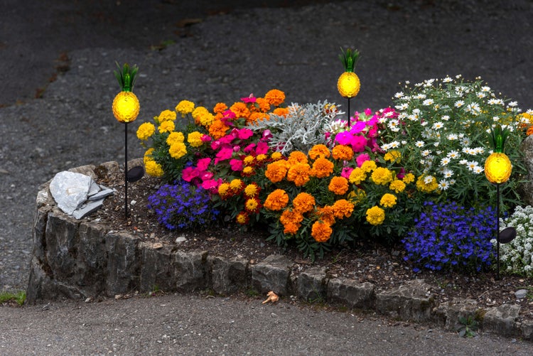 Blumenbeet mit Ringelblumen, Gänseblümchen, Lobelien und Ananas-Solarleuchten