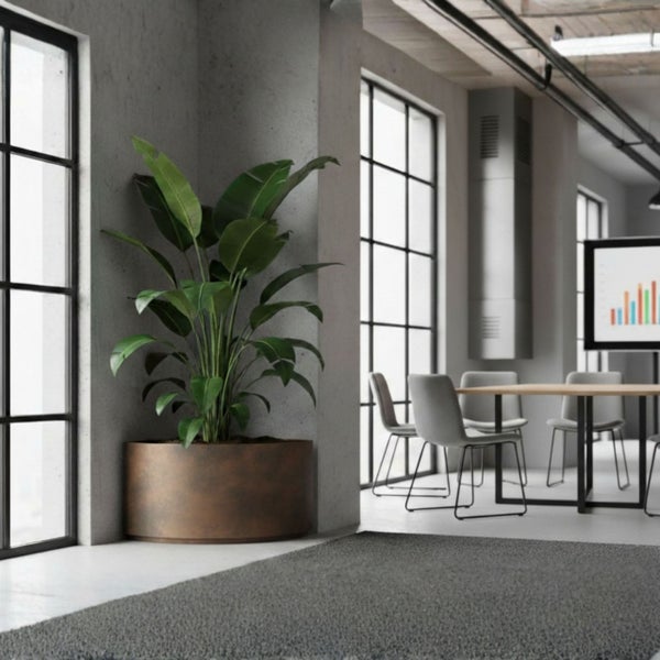Große Zimmerpflanze in einem runden Pflanzgefäß in einem modernen Büro im Industriestil mit großen Fenstern und Besprechungstisch.