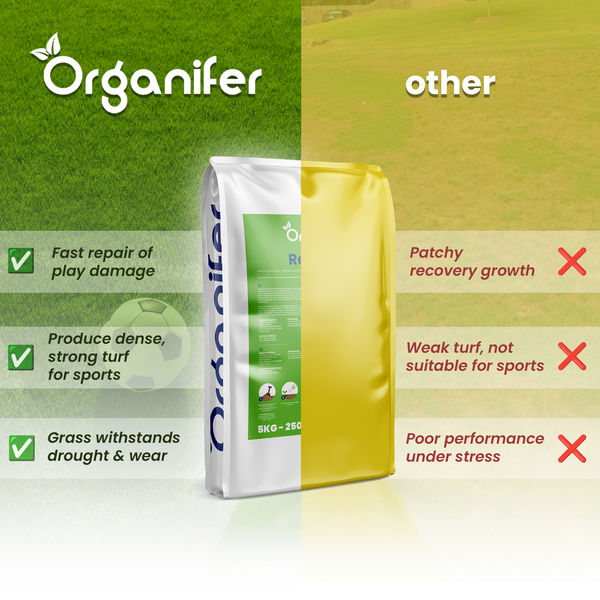 Vergleich von Organifer Grassamen mit anderem Produkt. Organifer Logo. Vorteile: schnelle Reparatur, dichter Sportrasen und Trockenresistenz.