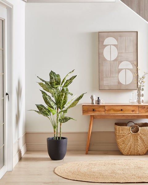 Flur mit Dieffenbachie in schwarzem Topf, Holzkonsole, Kunstwerk und Jute-Teppich