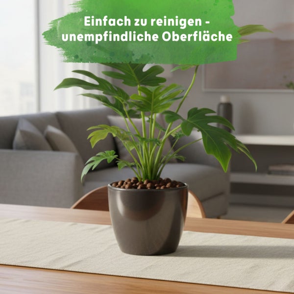 Zimmerpflanze in dunkelgrauem Übertopf auf Holztisch in hellem Wohnzimmer. Text: Einfach zu reinigen - unempfindliche Oberfläche.