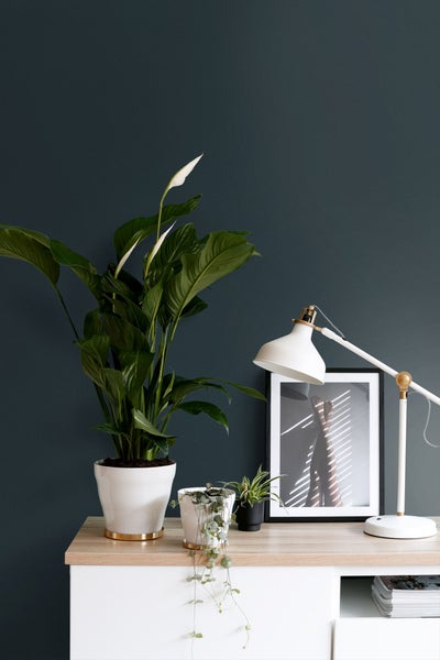 ESTAhome Wandfarbe matt  Dunkelblau - 2 l / ca. 18 m² - 191007