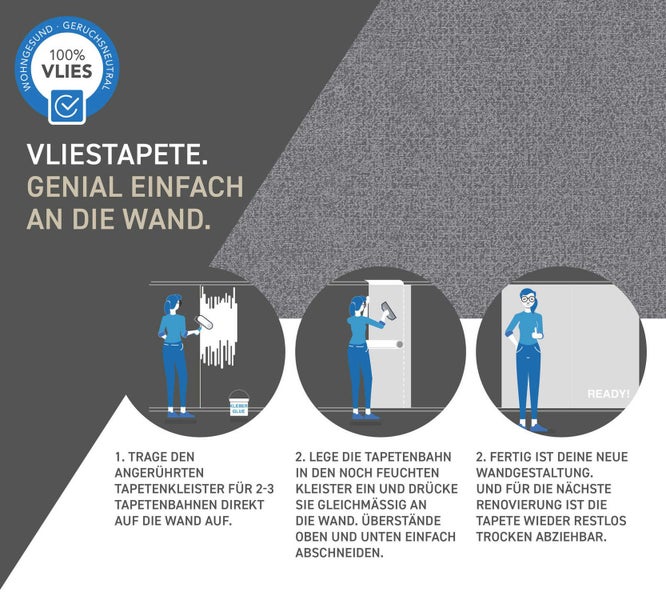 BGS Technic 9373 Bremsenwerkzeugsatz mit Radnabe und Hand