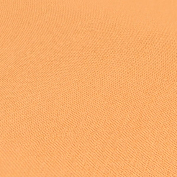 Wandregal mit Pflanze, Zitrone, Klemmbrett und Notizblock zur Dekoration