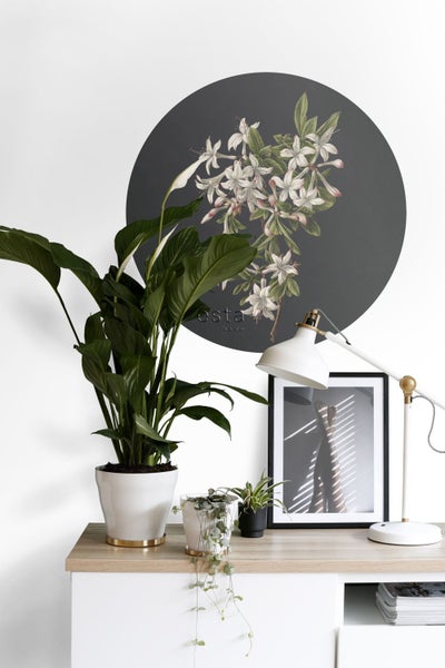 Dekorative Szene mit Zimmerpflanzen, Lampe und Wandbild für die Raumgestaltung