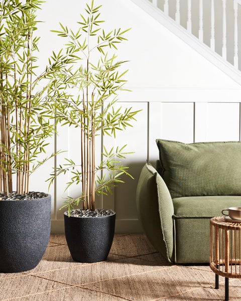Dekorative Wohnrauminszenierung mit Bambuspflanzen in Pflanzgefäßen neben einem Sofa