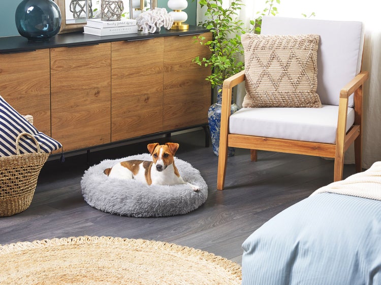 Hängesessel mit Gestell und Polster