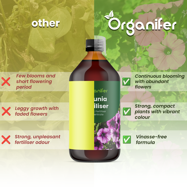 Vergleich von Organifer Petuniendünger mit anderen Düngern: Kontinuierliche Blüte, kräftige Pflanzen und vinassefreie Formel.
