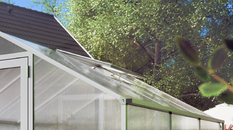 Anlehngewächshaus mit Aluminiumrahmen, Hohlkammerplatten und geöffnetem Dachfenster, an einer Hauswand montiert.