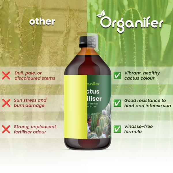 Organifer Logo. Vergleich von Kakteendünger mit anderen Produkten: zeigt Vorteile wie gesunde Farbe, Hitzebeständigkeit und vinassefreie Formel.