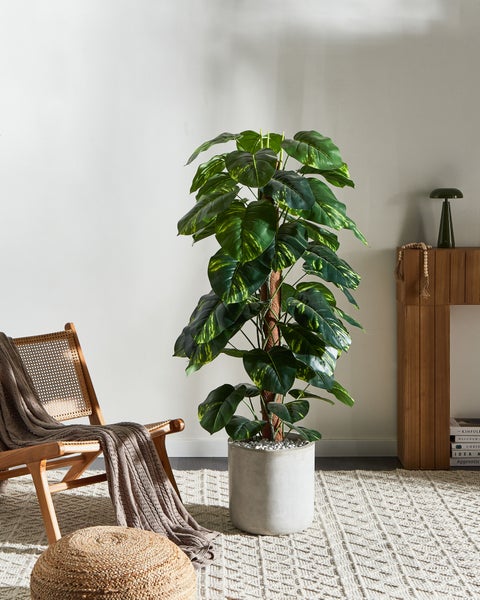 Kunstpflanze DIEFFENBACHIA 152 cm Grün