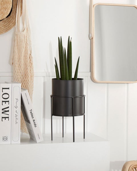 Dekorative Szene mit Zierschale, Zimmerpflanze, Büchern und Spiegel