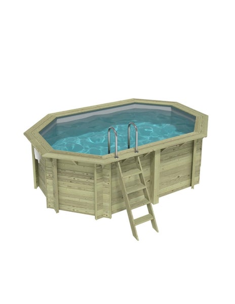 Holzpool mit Leiter und Stahlleiter