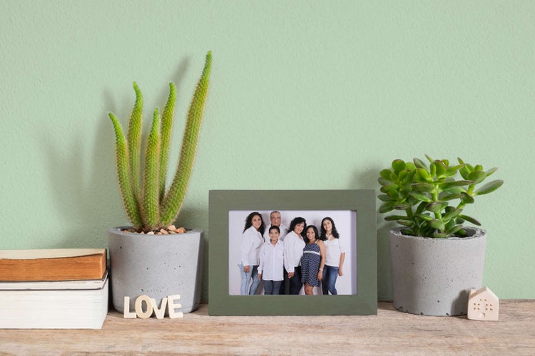 Grüner Bilderrahmen mit Familienfoto auf einer hölzernen Ablage neben zwei Zimmerpflanzen in Betontöpfen und dekorativen Elementen.