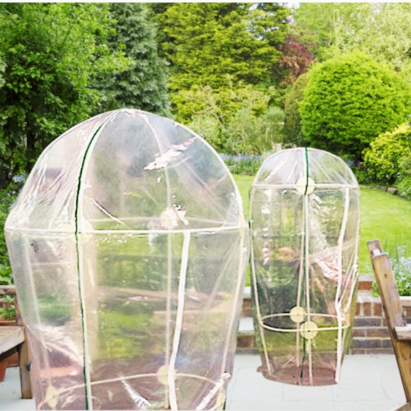 Zwei Pflanzzelte im Garten für Pflanzenaufzucht