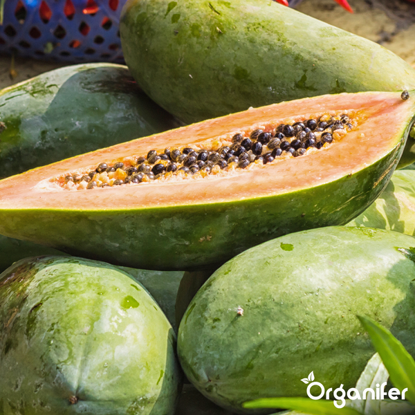 Papayas, teilweise aufgeschnitten mit sichtbaren Kernen, Organifer Logo