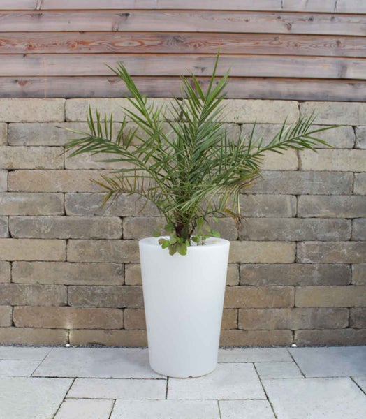Pflanzkübel Pflanzsäule GlowTub round H: 60cm beleuchtet 10613