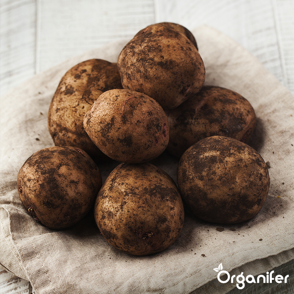 Gemusterter Teppich mit orientalischem Design