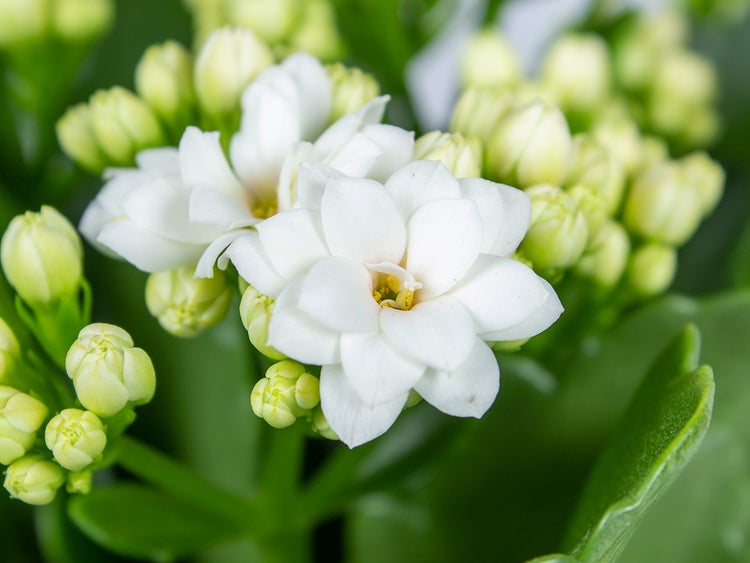 Silberne Arbeitsbühne in einem Raum mit Holzgeländer.