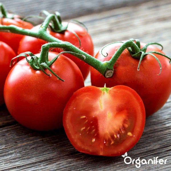 Tomatensamenpaket - 13 Sorten - Organifer