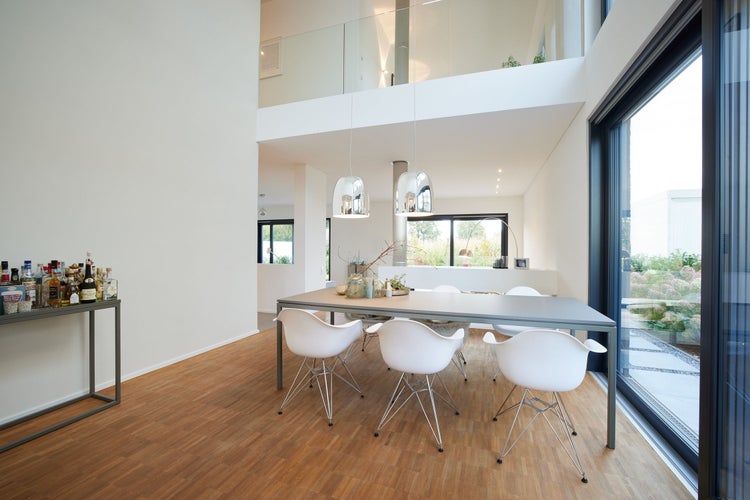 Nahaufnahme eines Zweiges einer Fichte