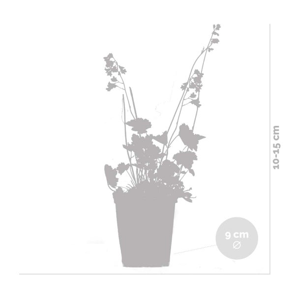 Detailaufnahme eines gewebten Teppichs mit geometrischem Muster