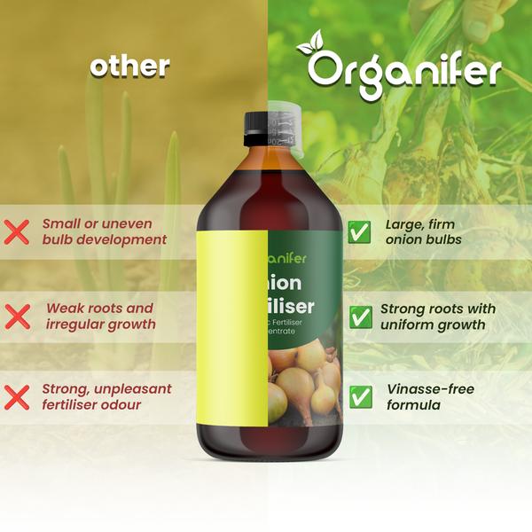 Vergleich von Organifer Zwiebeldünger: große Knollen, starke Wurzeln, gleichmäßiges Wachstum und vinassefreie Rezeptur gegenüber anderen Produkten.