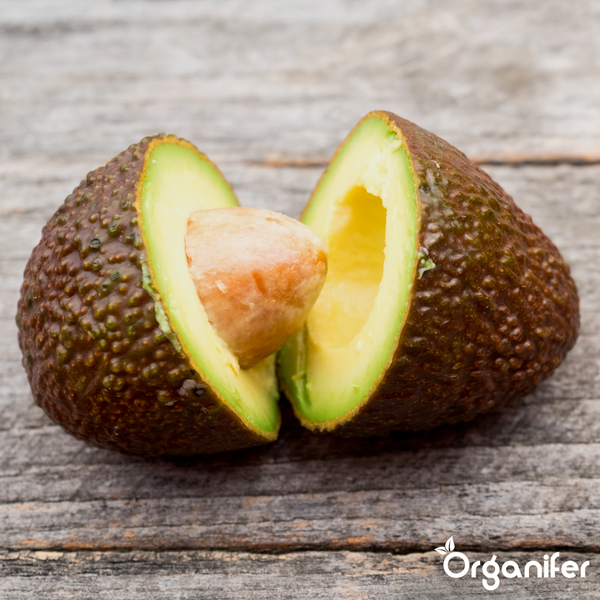 Eine halbierte Avocado mit Kern auf einer Holzoberfläche. Organifer Logo.