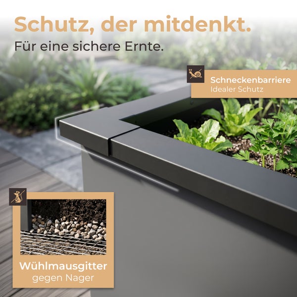 Hochbeet mit Schneckenbarriere und Wühlmausgitter zum Schutz der Pflanzen vor Schädlingen und Nagetieren.