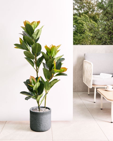 Abmessungen eines Pflanzgefässes mit 26 Zentimeter Durchmesser oben, 23 Zentimeter Durchmesser unten und 25 Zentimeter Höhe