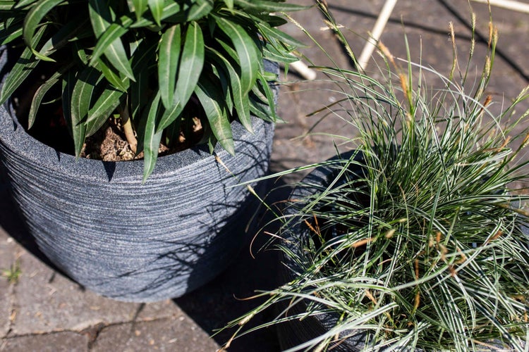 Zwei graue, strukturierte Blumentöpfe aus Kunststoff mit Pflanzen auf einer Terrasse.