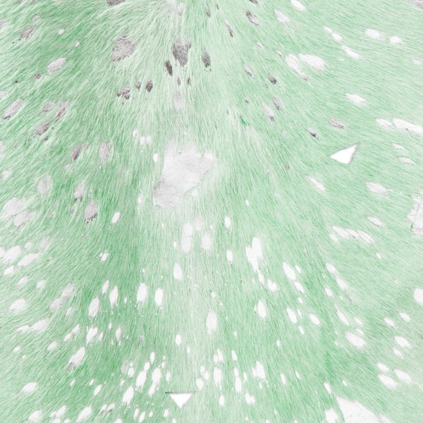 Kuhfell mit silbernen Metallic-Flecken auf grünem Grund, Nahaufnahme der Textur.