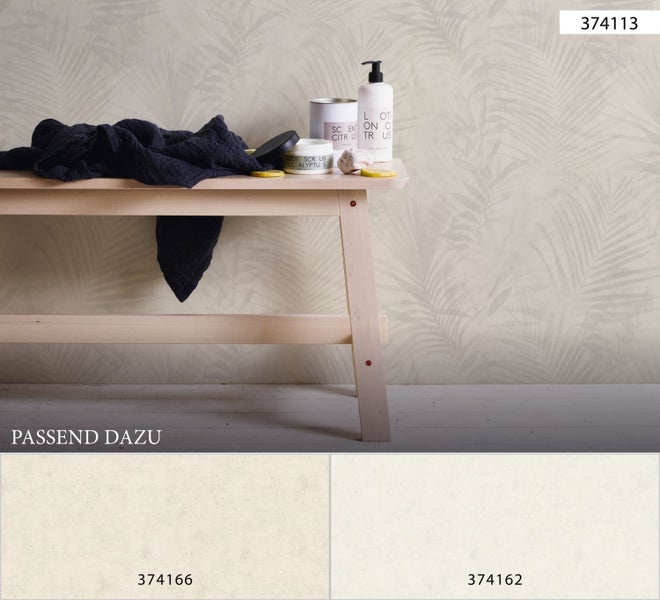 Junge Kiefer im Garten.