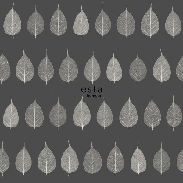 ESTAhome Tapete Skelettblätter Schwarz und Braun und Antrazitgrau - 53 cm x 10.05 m - 128849