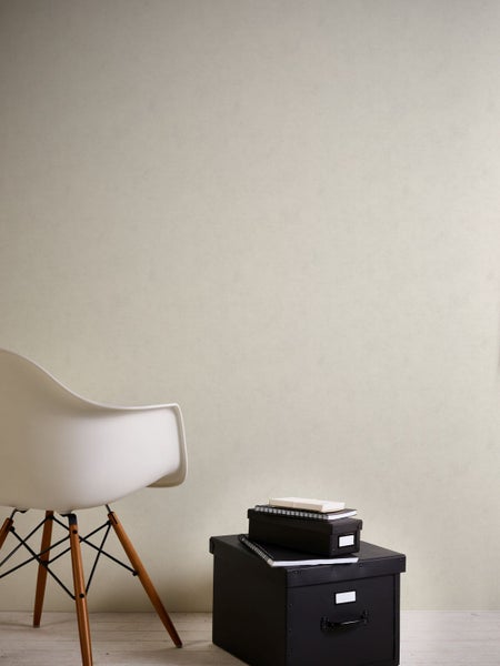 Nahaufnahme von Ginkgoblättern