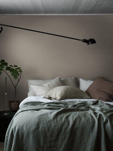 Nahaufnahme einer Rhododendronblüte mit Knospen und Blättern.