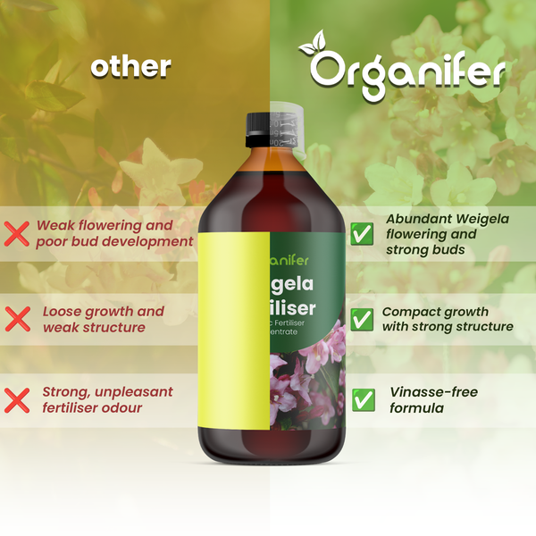 Organifer Logo. Vergleich von Organifer Weigela Dünger: reichliche Blüte, kräftige Knospen, kompakter Wuchs und vinassefreie Formel.