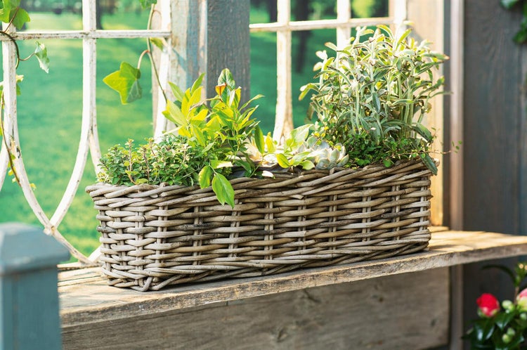 Dekoleidenschaft Rattan Pflanzkasten Koboo Grey 60 cm lang, grau, Balkonkasten, Blumenkasten für Draußen, Pflanzgefäß