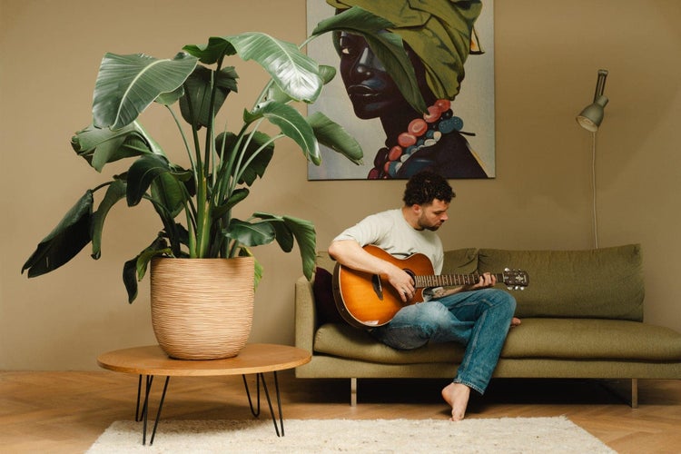 Ein Mann spielt Akustikgitarre auf einem Sofa in einem gemütlich eingerichteten Wohnzimmer mit großer Pflanze und Wandgemälde.